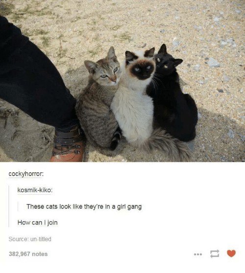 via: target="_blank">tumblr.com