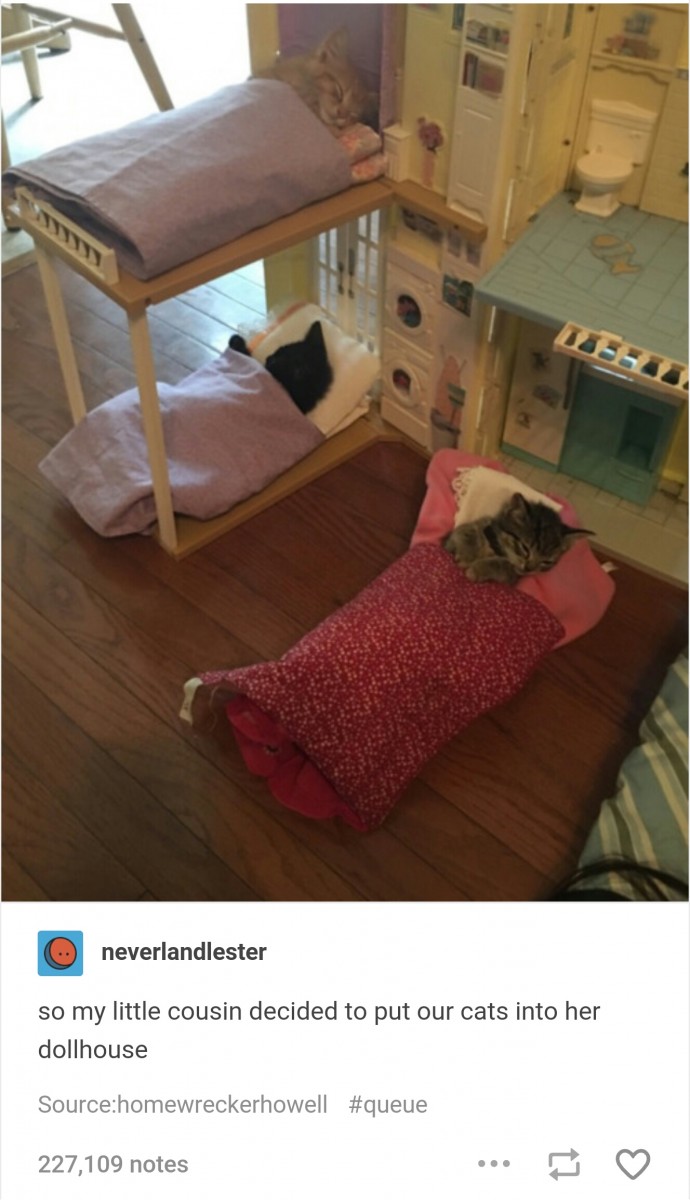 via: target="_blank">tumblr.com