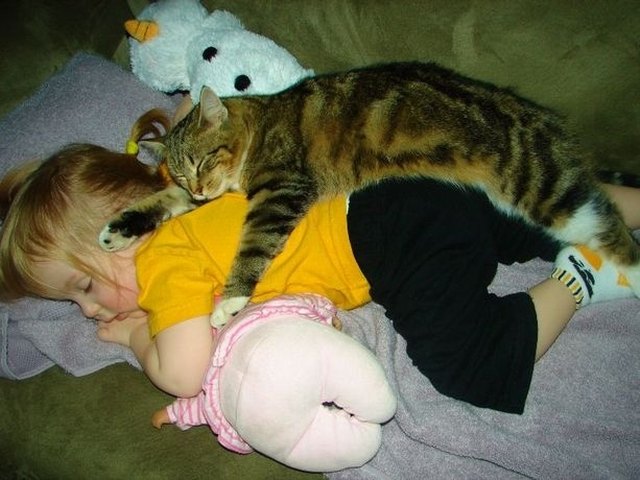 Cat and baby sleeping in pile of stuffed animals.