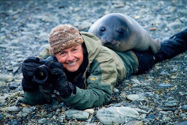 Animals interrupting wildlife photographers is our new favorite thing