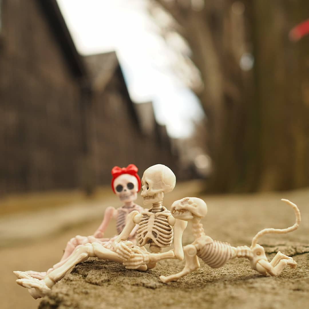 ããã£ã¨å¯ã¦ããã¨ãéª¨ãã¹ã«ã¹ã«ãã®ç»åæ¤ç´¢çµæ