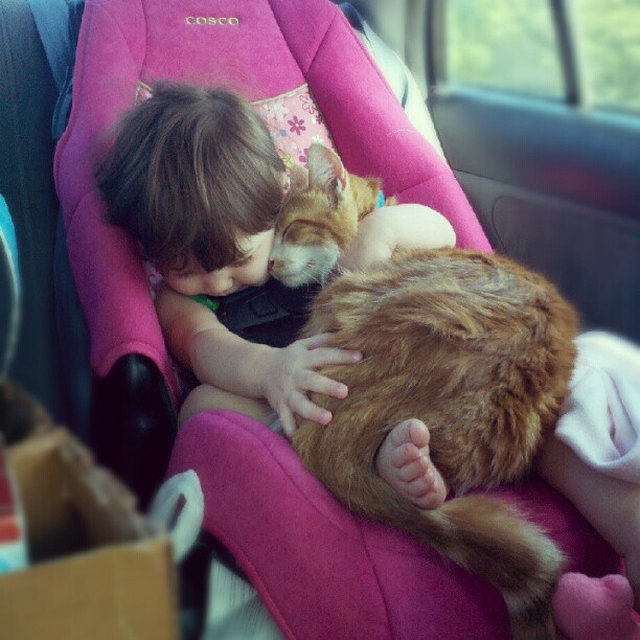 Cat and baby cuddling in a car seat.