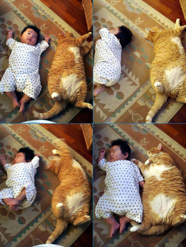 Cat and baby lounging on carpet.