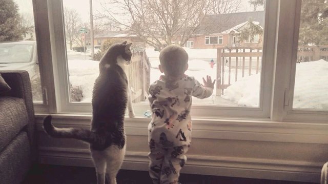 Cat and baby looking out window at snow.