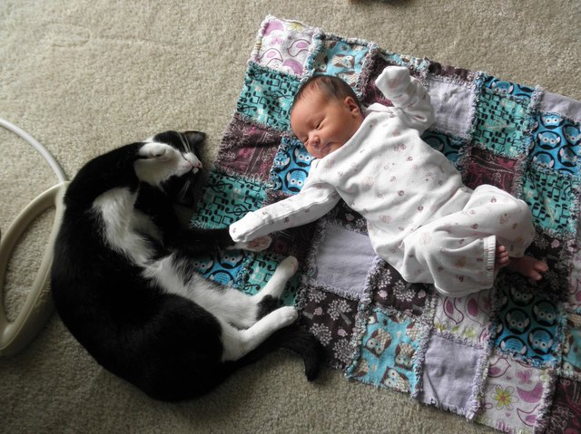 Cat and baby sleeping next to each other.