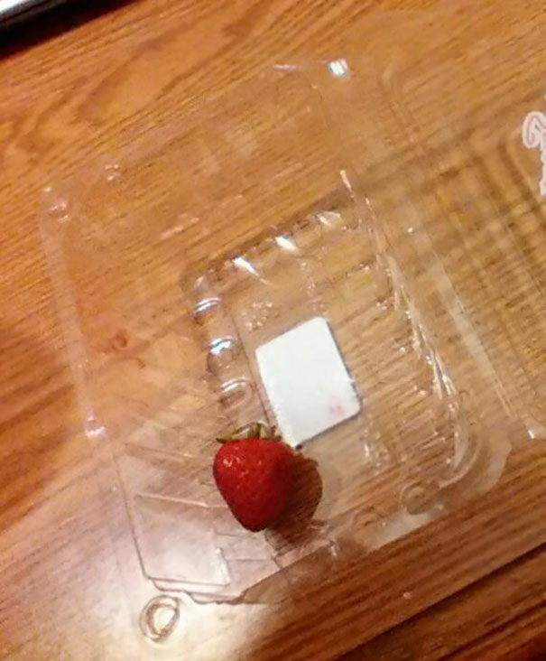 Kids taking instructions literally