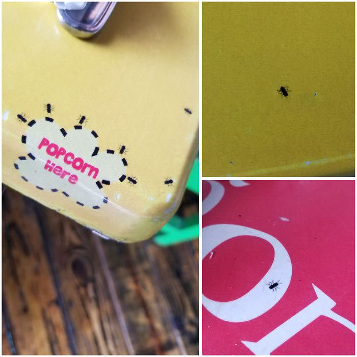 These Ants Are Painted Into The Table. Freaked Me Out Like 5 Times During Lunch