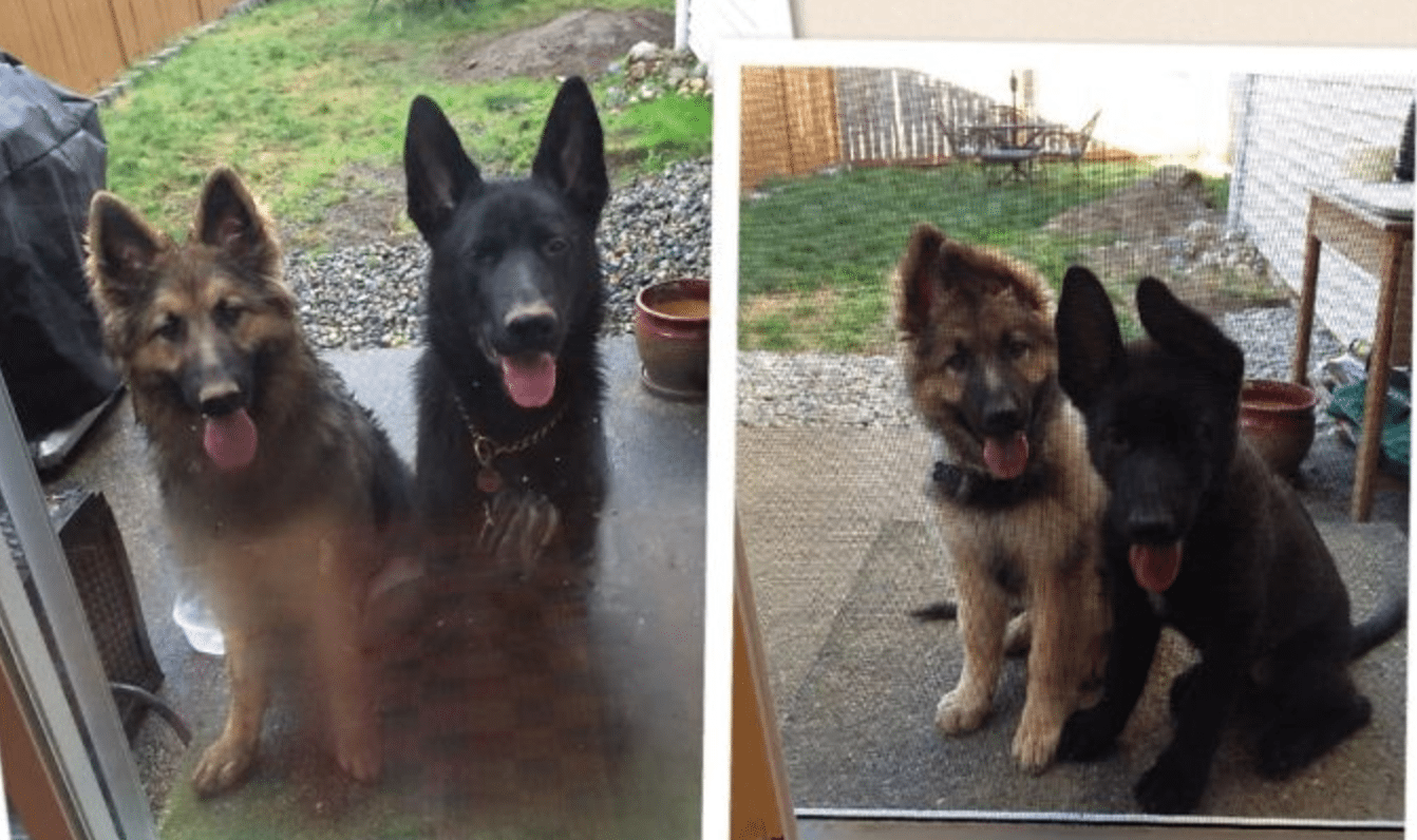 screenshot-2017-02-09-17-04-33