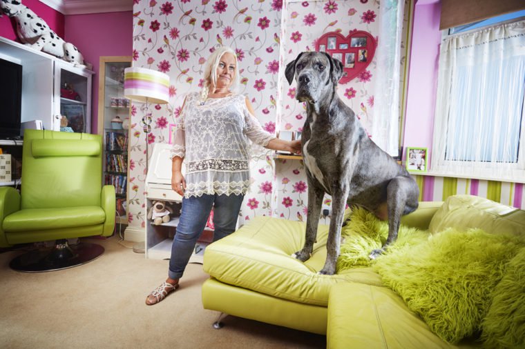 Freddy - Tallest Dog