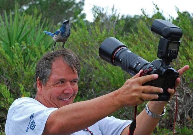 Animals interrupting wildlife photographers is our new favorite thing
