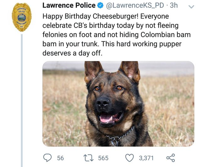 Tweet about police dog
