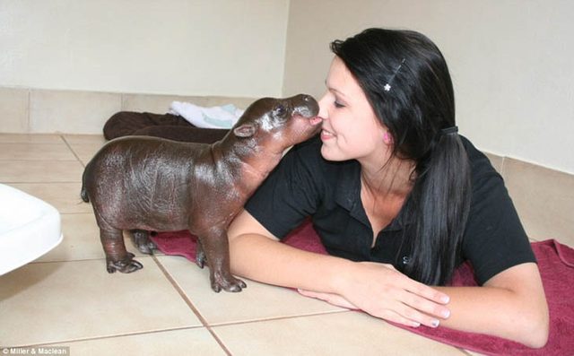 Tiny, Tiny Baby Animals That Will Melt You