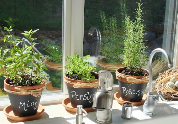 herb-garden-chalkboard-paint