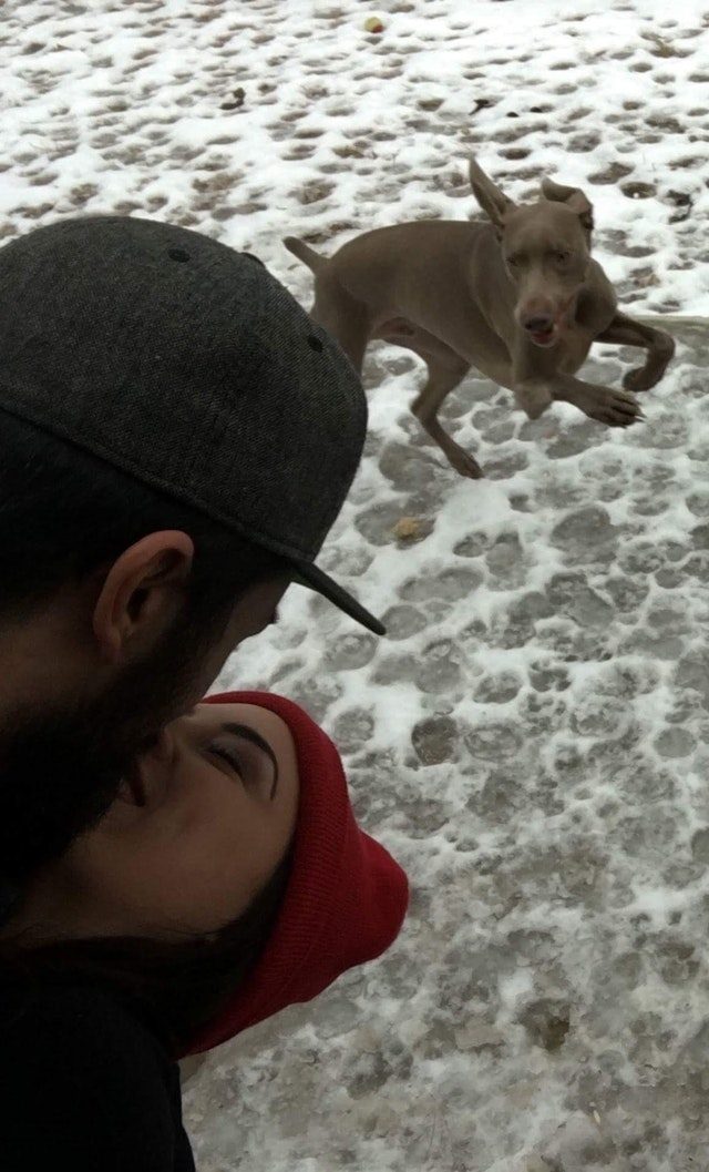 Dog photobombing picture of kissing couple.