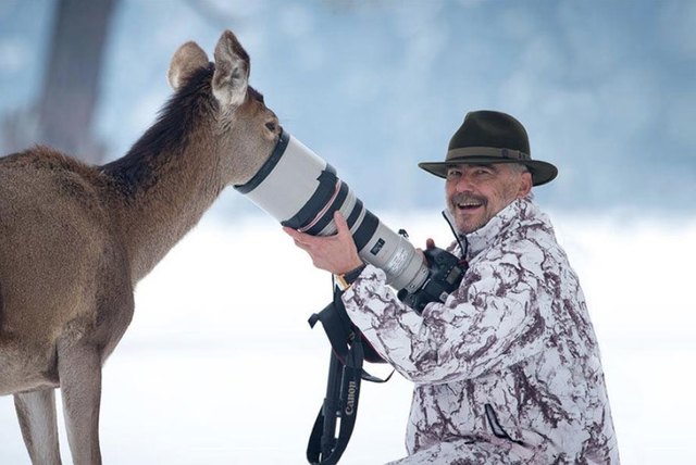 Animals interrupting wildlife photographers is our new favorite thing