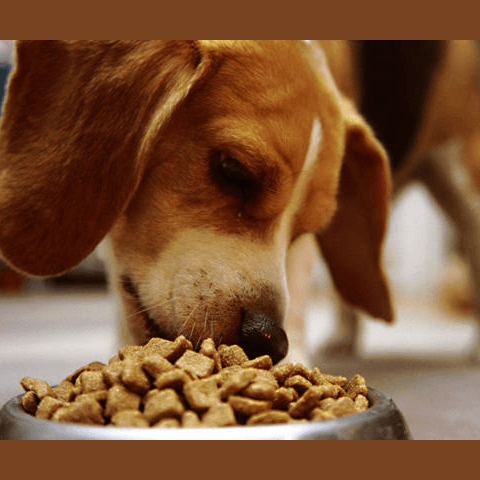 ãæç¬ é£äºãã®ç»åæ¤ç´¢çµæ