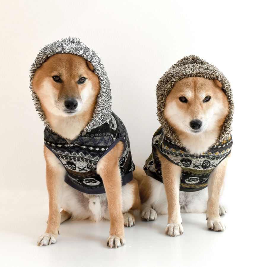 ãæç¬ æãã®ç»åæ¤ç´¢çµæ