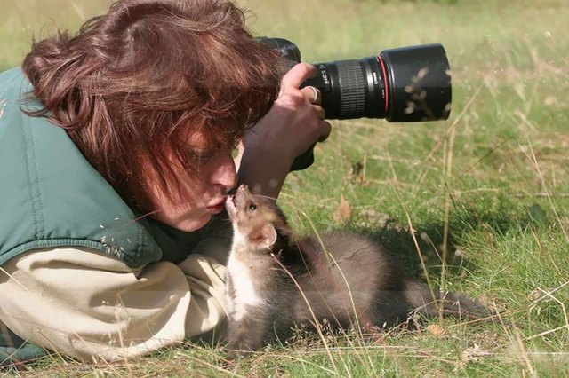 Animals interrupting wildlife photographers is our new favorite thing