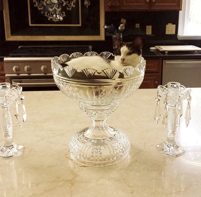 Tagruato_Corporation