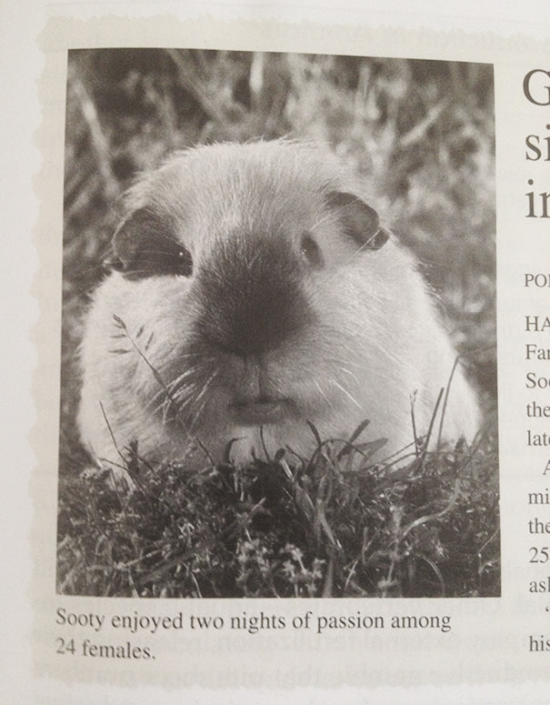  I Found This In My Friend