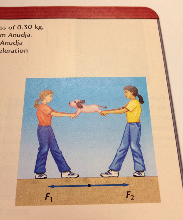  Found In Physics Textbook