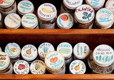 garden-seeds-pill-bottle