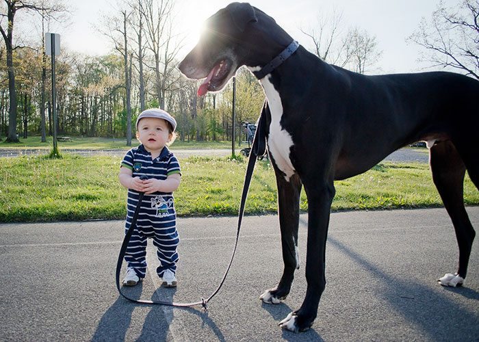 kids-with-dogs-20__700