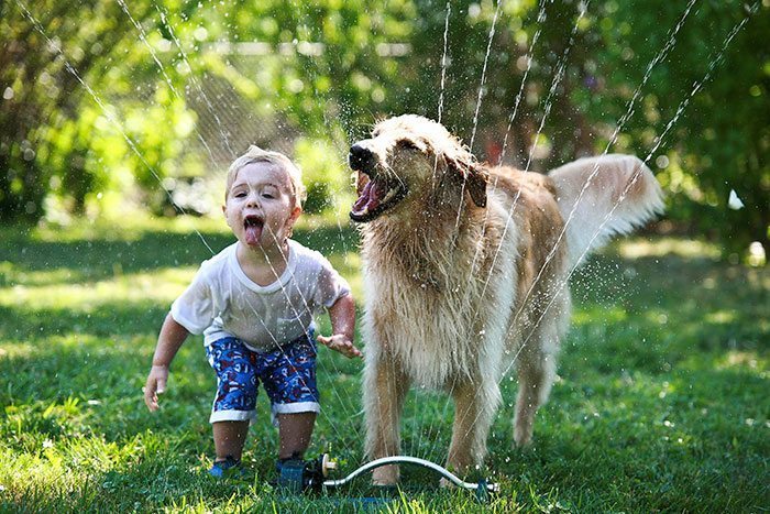 kids-with-dogs-332__700