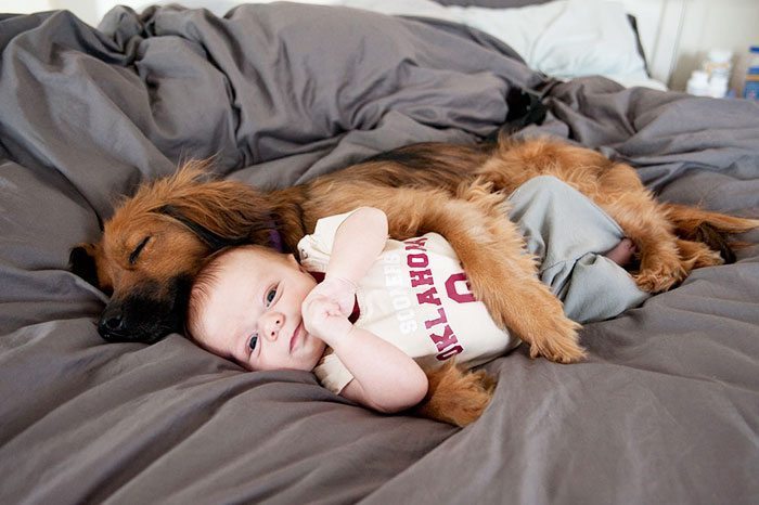 kids-with-dogs-56__700