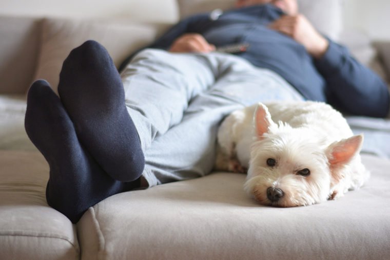 home comfort when watching TV - dog from the shelter