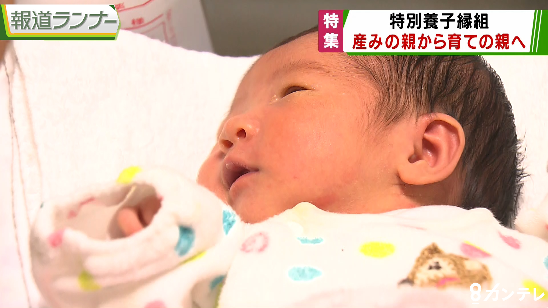 ãç¹å¥é¤å­ç¸çµãã®ç»åæ¤ç´¢çµæ