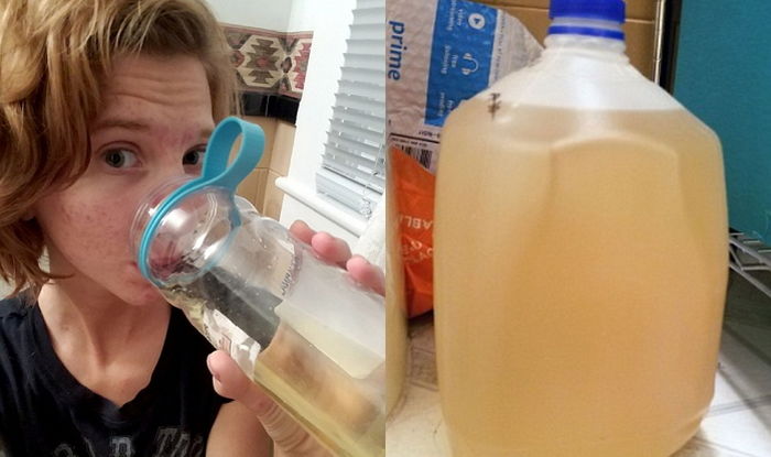 ì¸ì¬ì´í¸