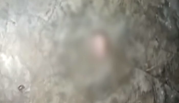 ì¸ì¬ì´í¸