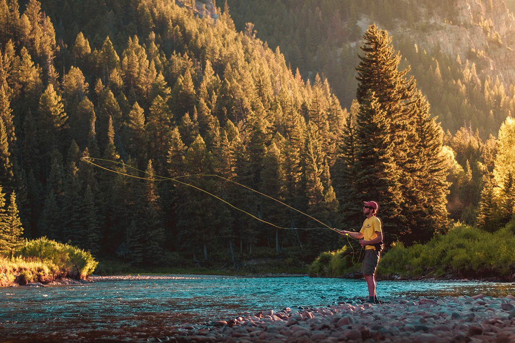 ã人çãèªç±æéãã®ç»åæ¤ç´¢çµæ