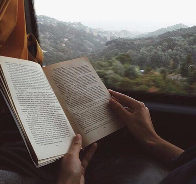 "Advierte que digo 'libro', no algún artículo aleatorio de Internet. La lectura, en especial los textos largos, puede ayudarte a desarrollar tu comprensión profunda e intelectual de una manera mucho mejor que una lectura rápida de cinco minutos del tipo de noticias 'la manera de hacer esto'. Además, cuanto más leas, mejor escribirás. ¡Así que consigue unos libros y comienza a leer de inmediato!".