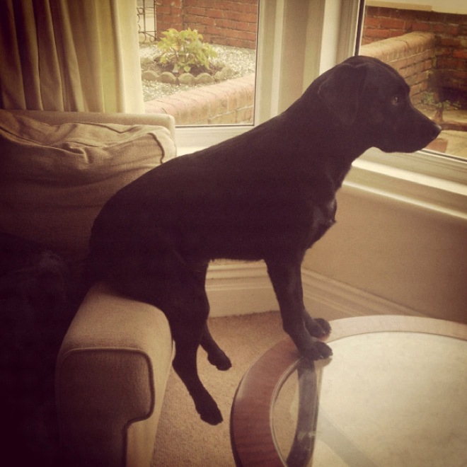 via sadanduseless.com