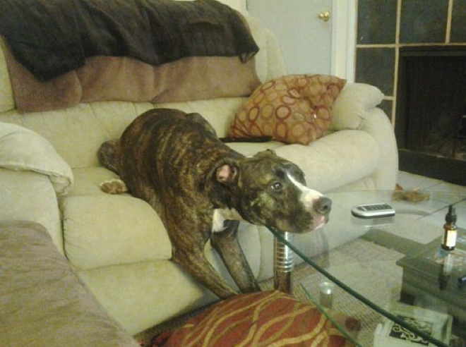 via themetapicture.com