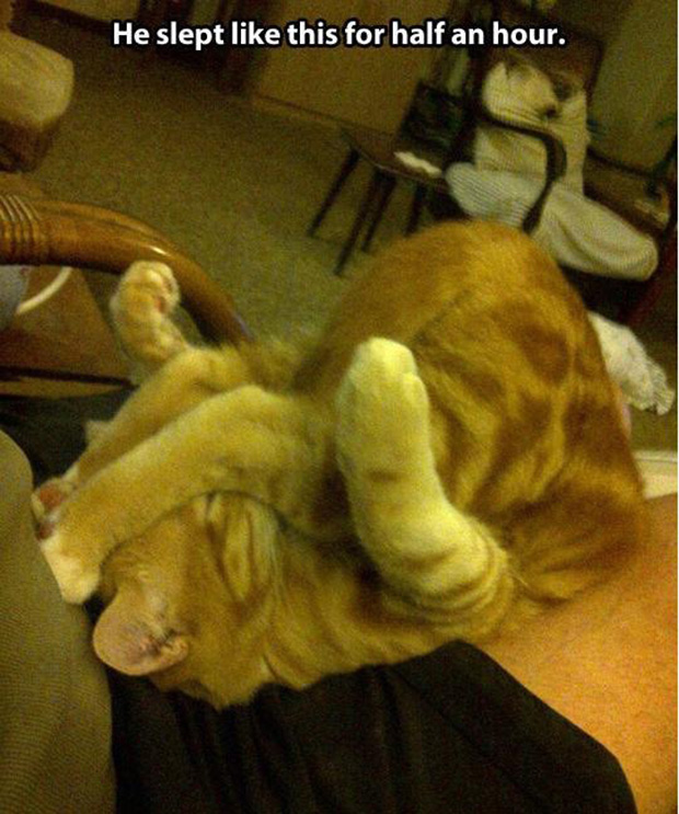 via: pleated-jeans.com