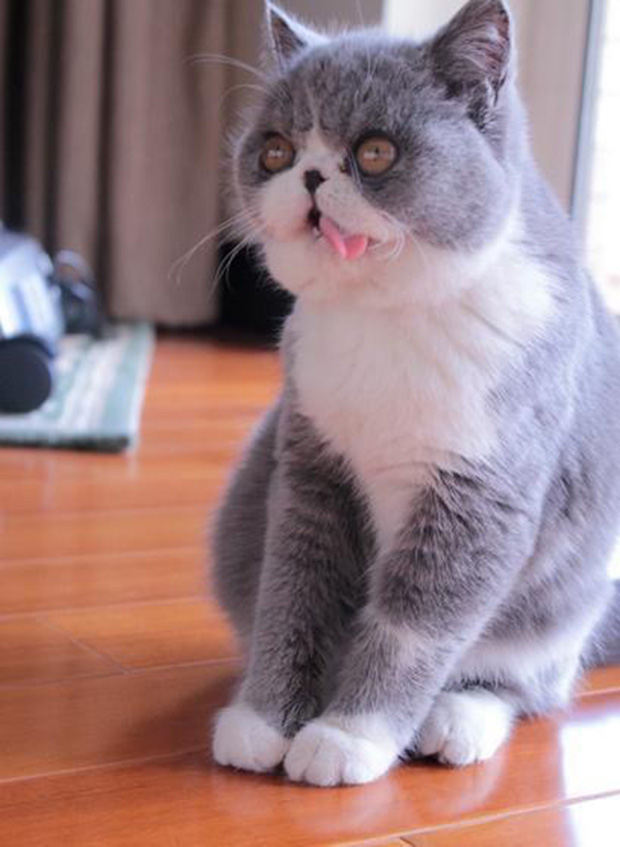 via: pleated-jeans.com