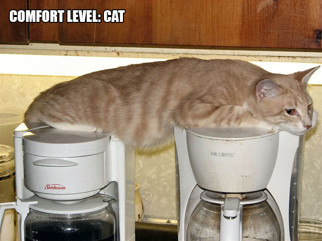 16 Hilarious Photos Proving That Cats Think Different. #8 Is Just Brilliant.