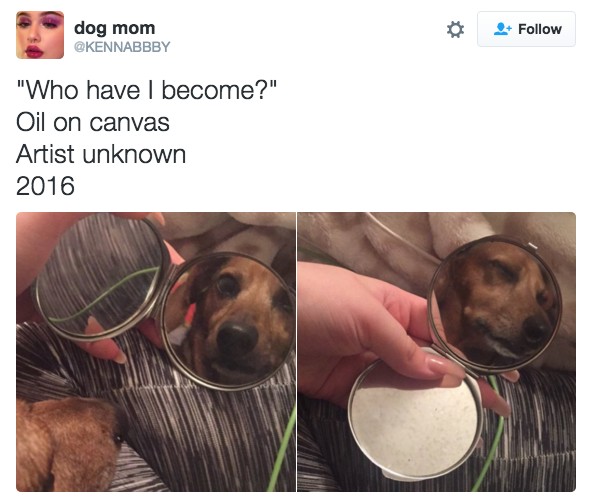 18 Hilarious Tweets About Animals That Will Make Your Day So Much Better