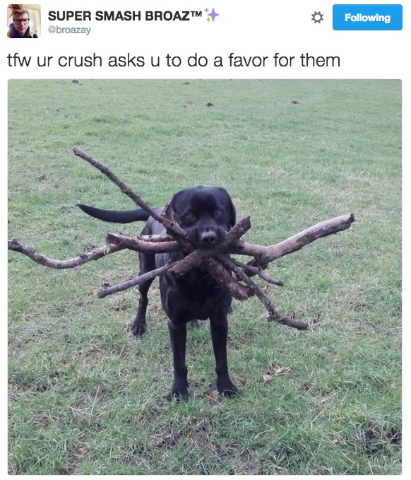 18 Hilarious Tweets About Animals That Will Make Your Day So Much Better