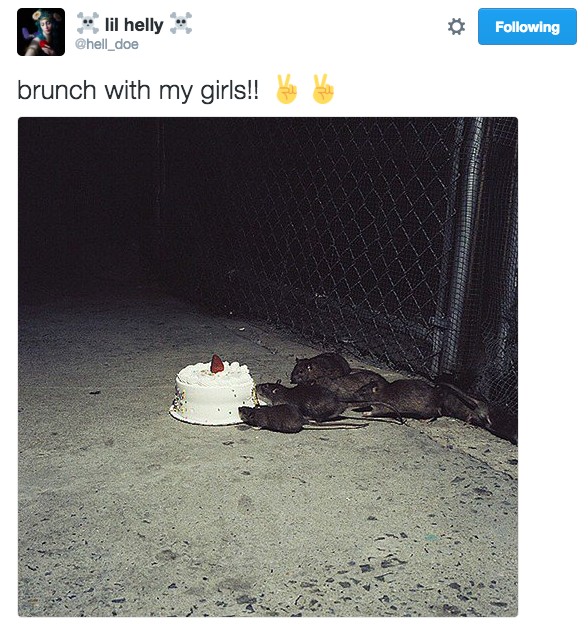 18 Hilarious Tweets About Animals That Will Make Your Day So Much Better