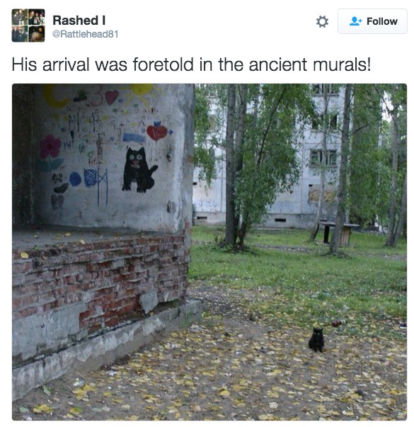 18 Hilarious Tweets About Animals That Will Make Your Day So Much Better