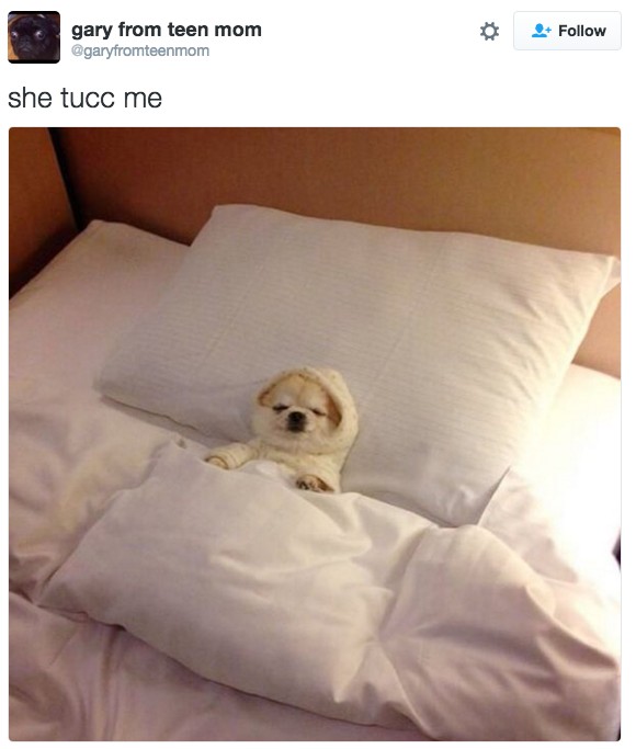 18 Hilarious Tweets About Animals That Will Make Your Day So Much Better