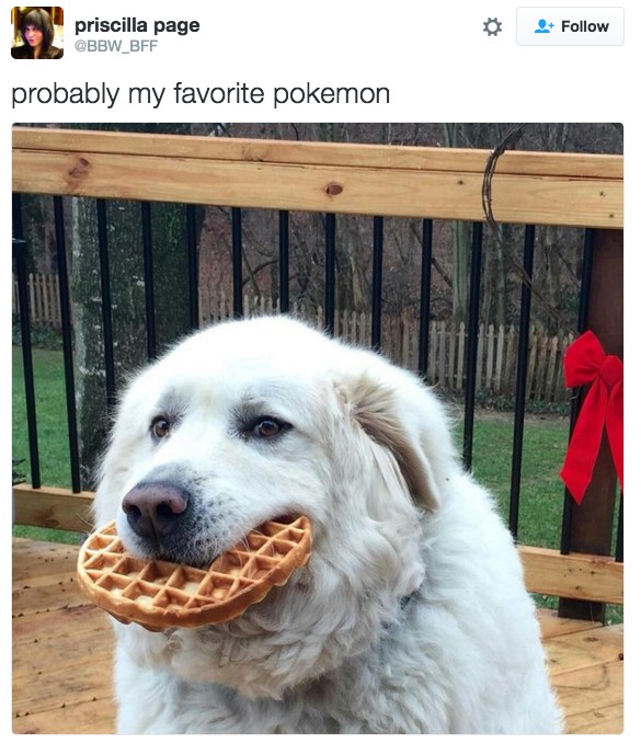 18 Hilarious Tweets About Animals That Will Make Your Day So Much Better