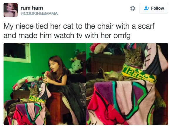 18 Hilarious Tweets About Animals That Will Make Your Day So Much Better