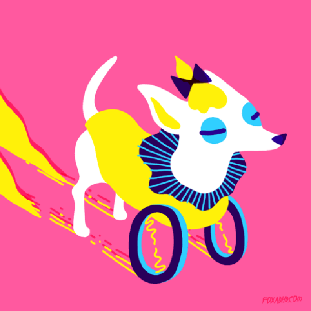 GIF Dog on Wheels