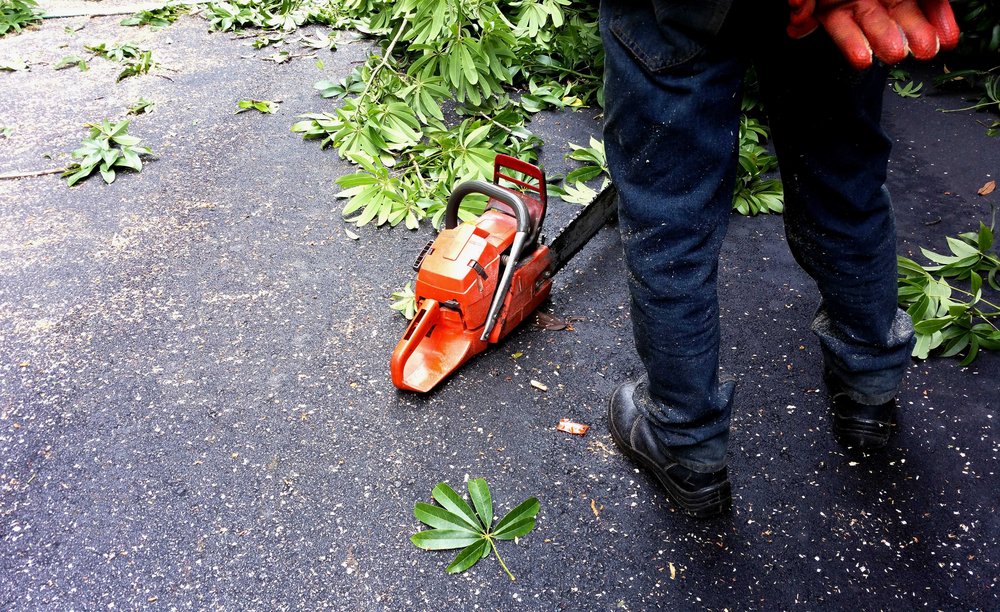 The tree worker stands and waits for a cut tree log and branches to be lowered down by a hydraulic crane. He stands by a chainsaw on the ground.