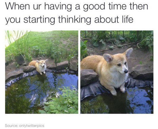 via: onlytwitterpics.tumblr.com